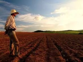 农田常见的十种土壤病
